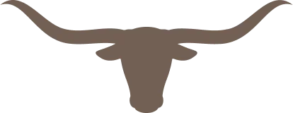 1st Choice Property Management Longhorn Icon